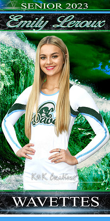 EMILY LEROUX BANNER
