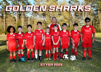 GOLDEN SHARKS - DANNY STEVENS