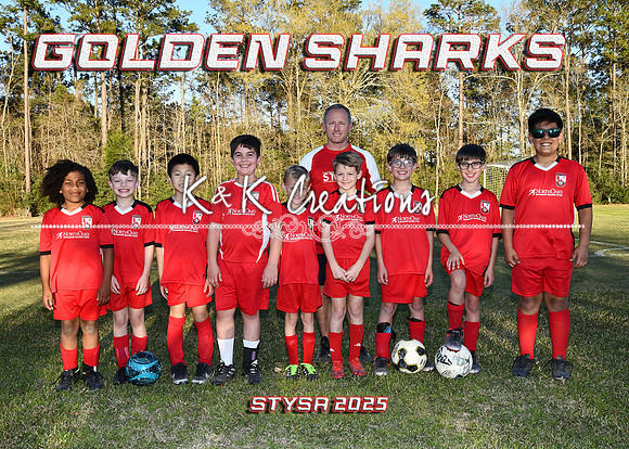 5X7 GOLDEN SHARKS STEVENS TEAM