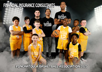 5X7 FINANCIAL INS CONSULTANTS TEAM