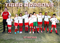 TIGER DRAGONS -ROBERT KLING