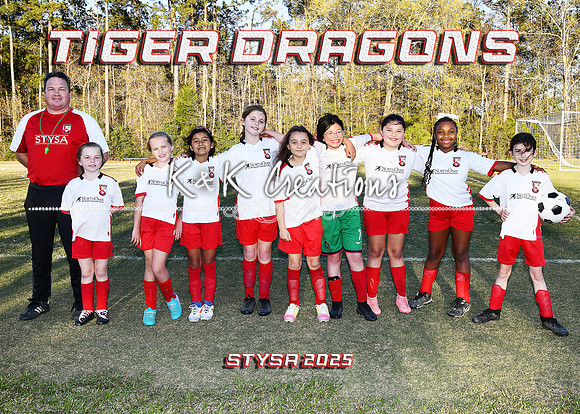 5X7 TIGER DRAGONS KLING TEAM