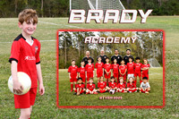 BRADY BRISTER MM